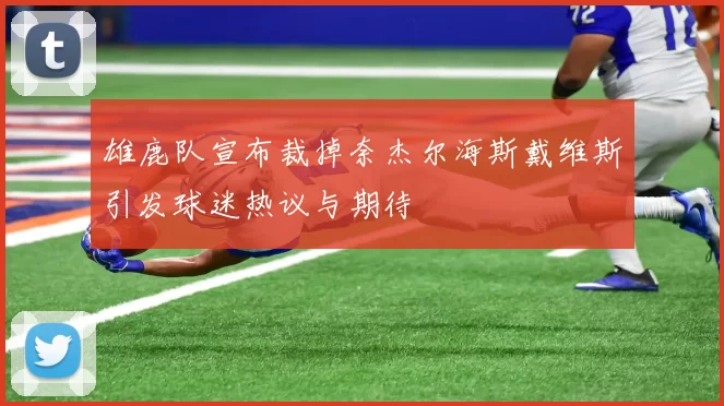 雄鹿队宣布裁掉奈杰尔海斯戴维斯引发球迷热议与期待