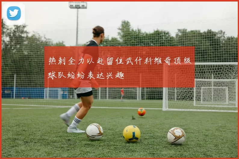 热刺全力以赴留住武什科维奇顶级球队纷纷表达兴趣